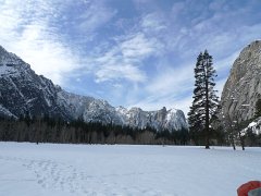Yosemite_Valley (96)